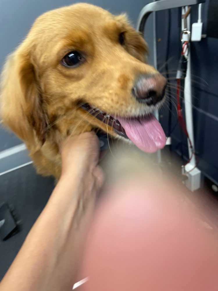 Sadie