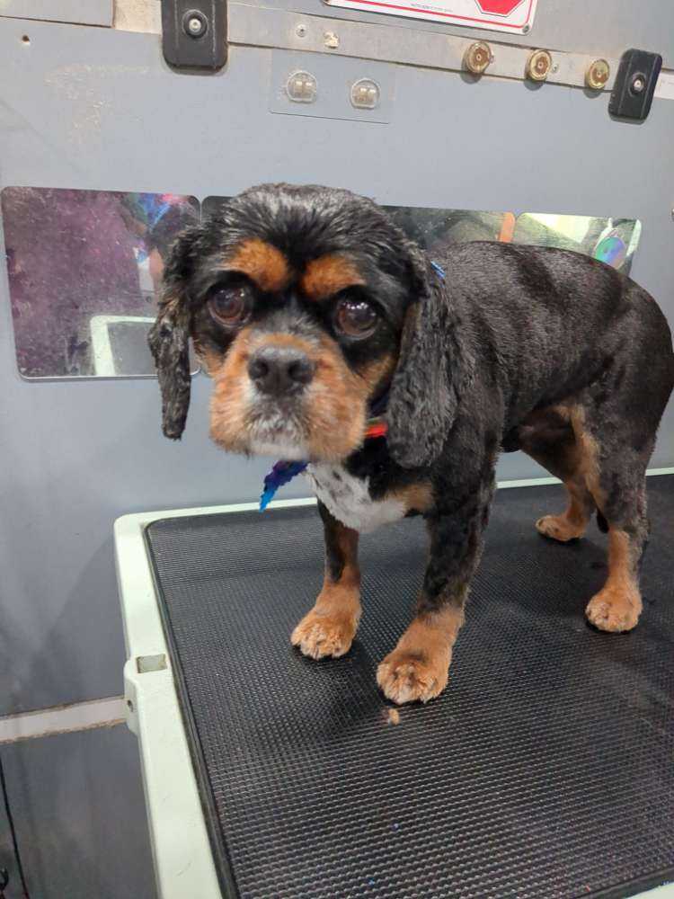 Murphy 