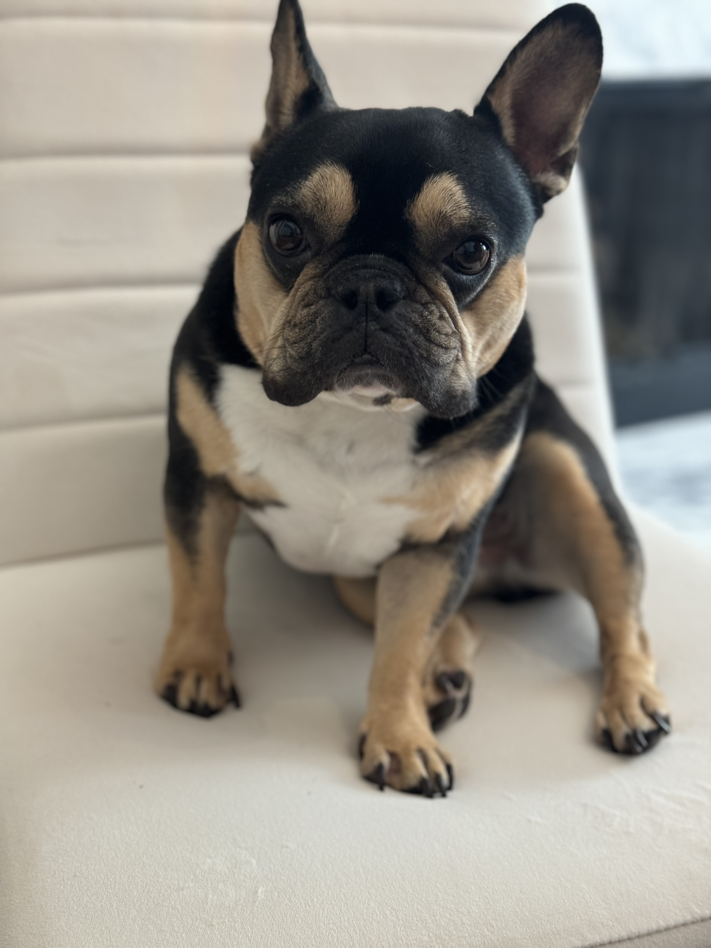 Bentley