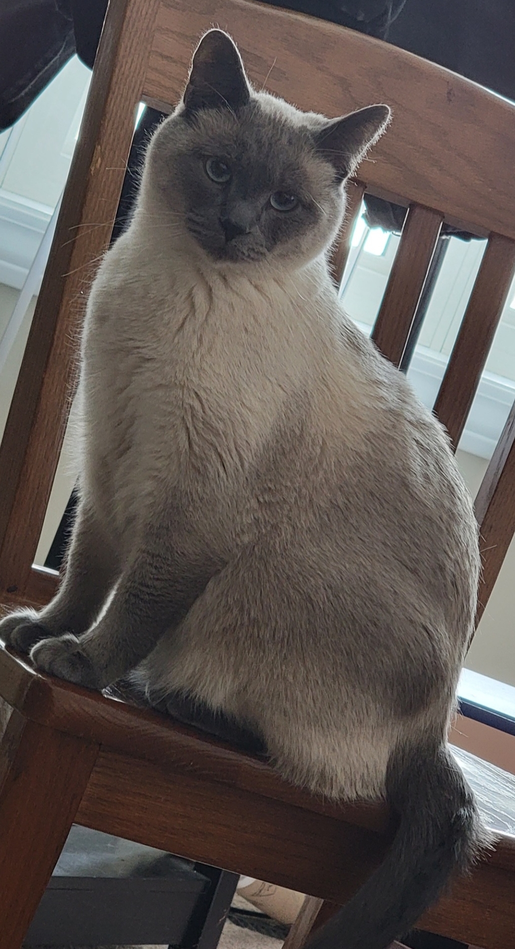 Sven