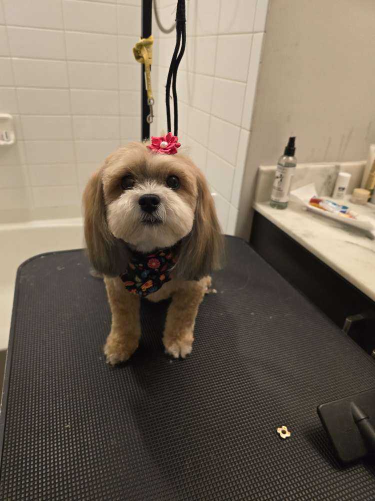 Kiki