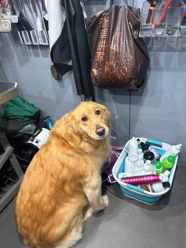 Lyla