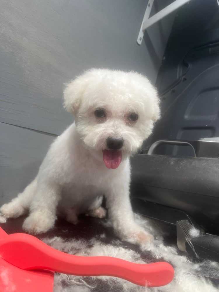 Milo