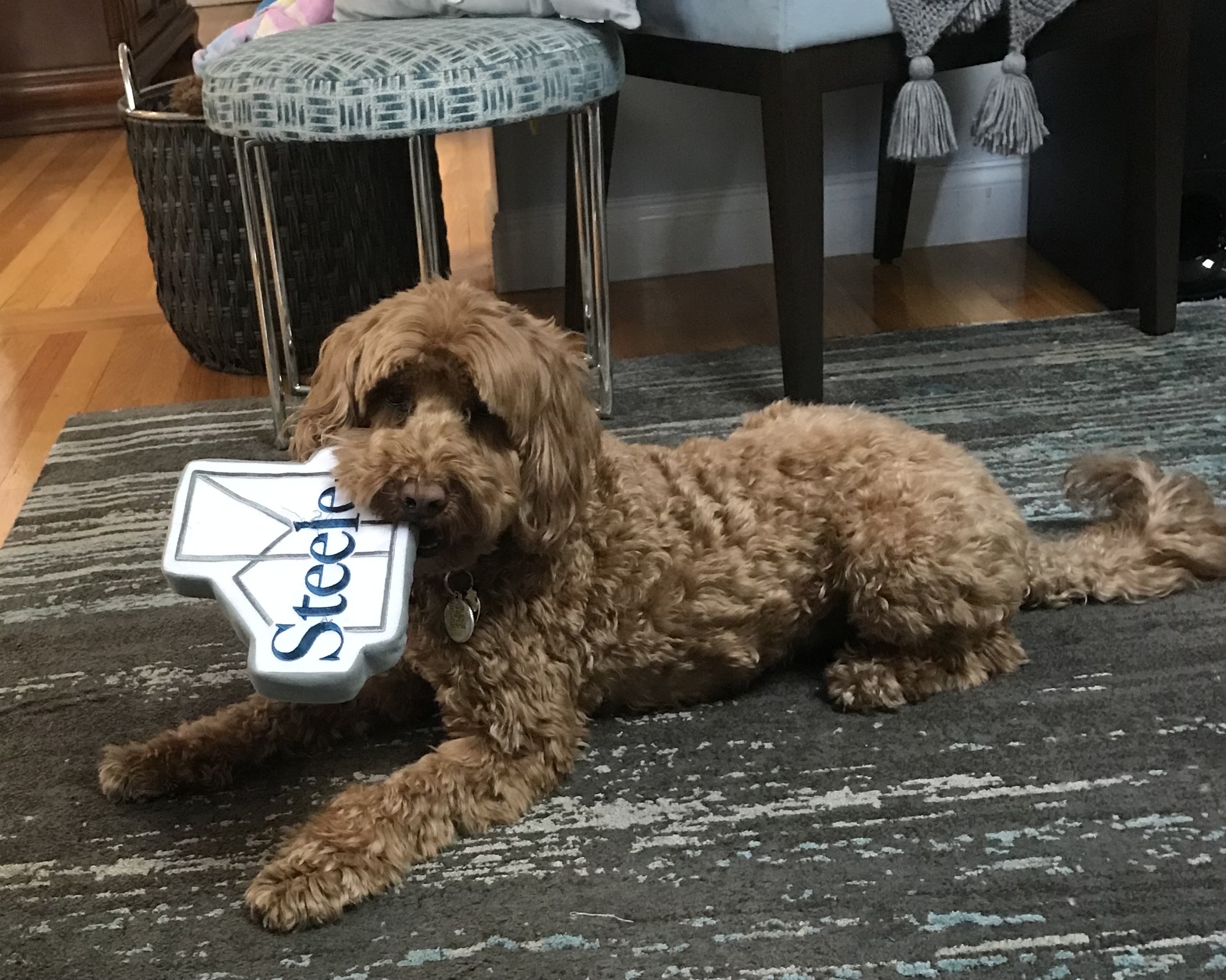 Fozzie