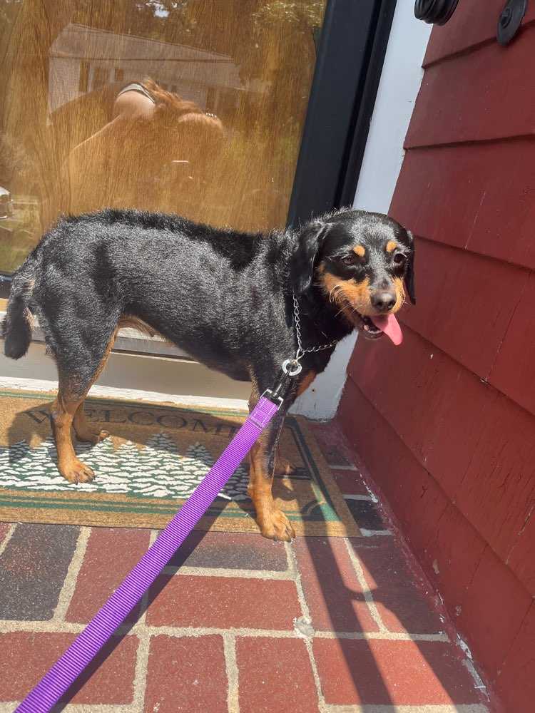 Dora