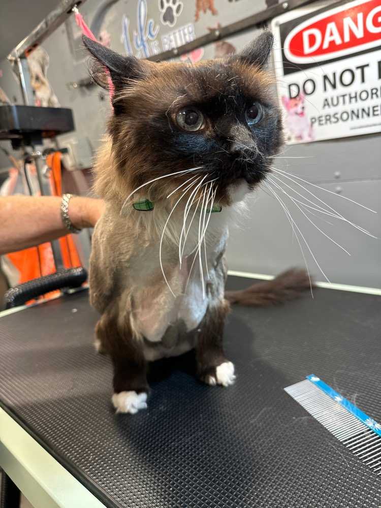 Logan
