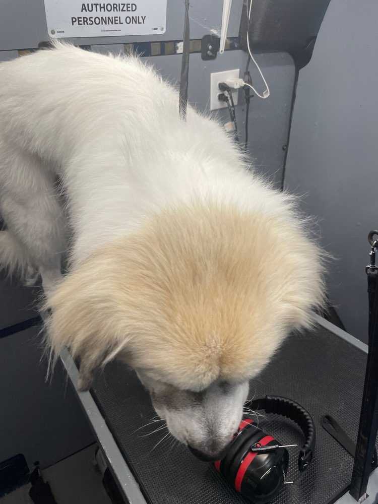 Sitka