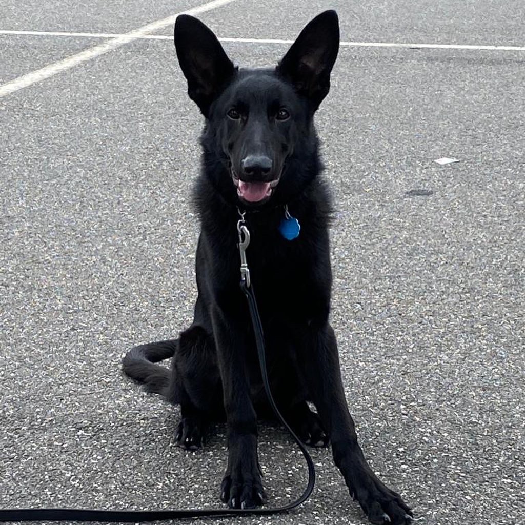 Koko