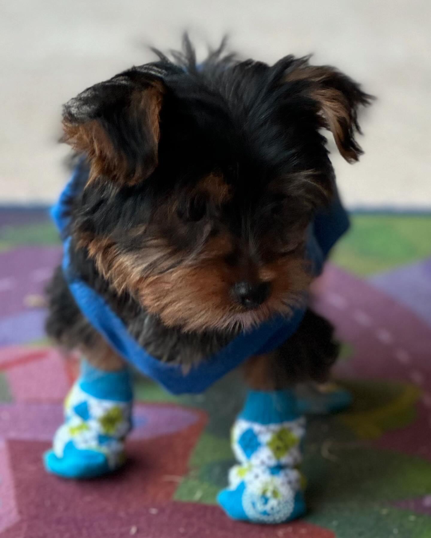 Milo