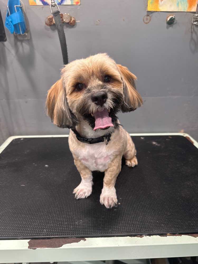 Charlie