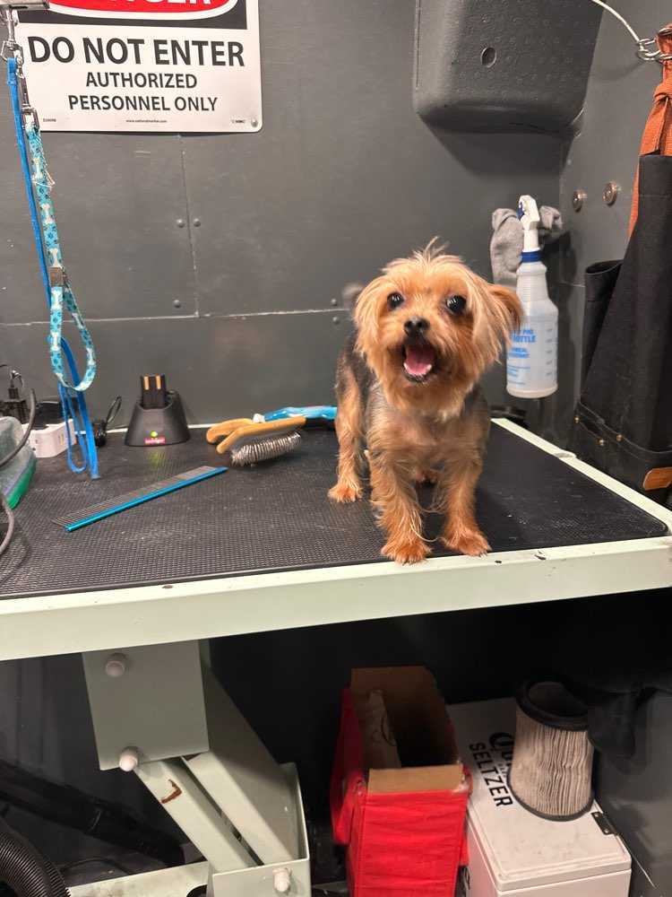 Coco