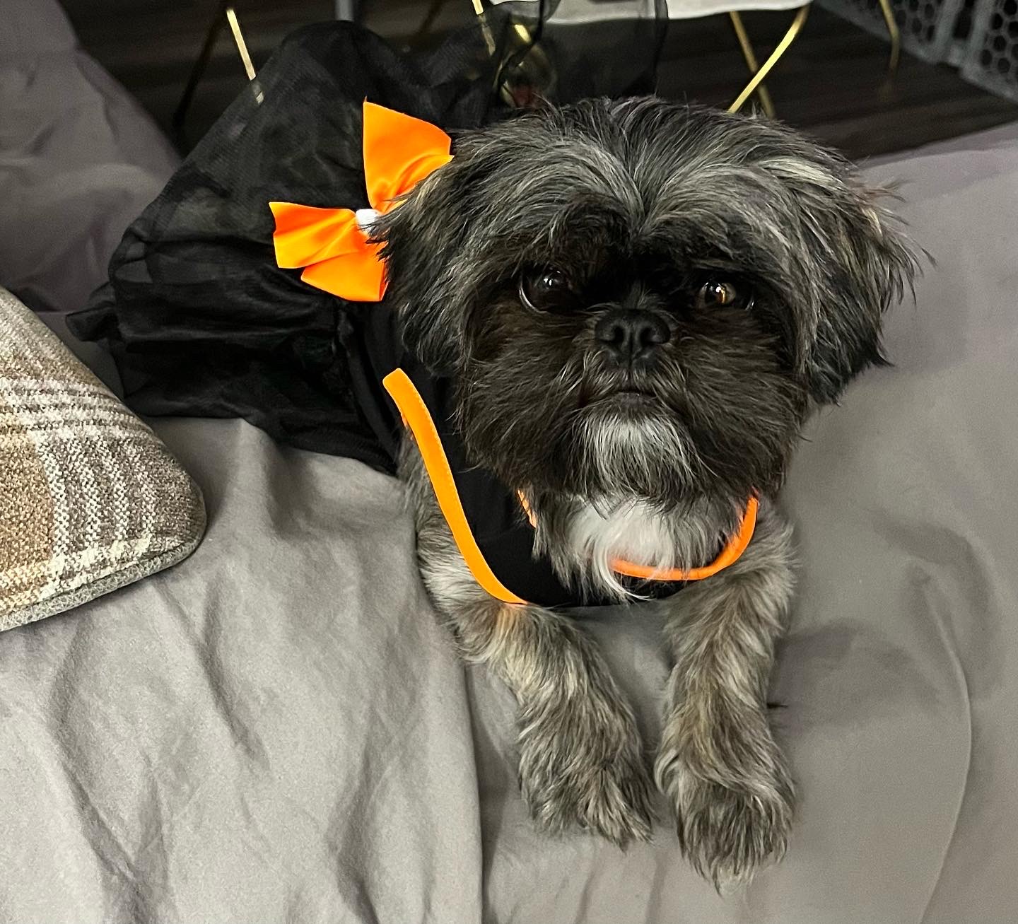 Winnie