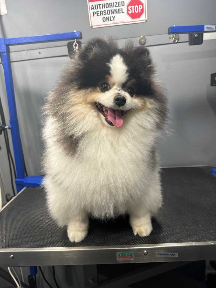 Ted