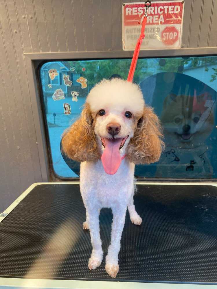 Coco