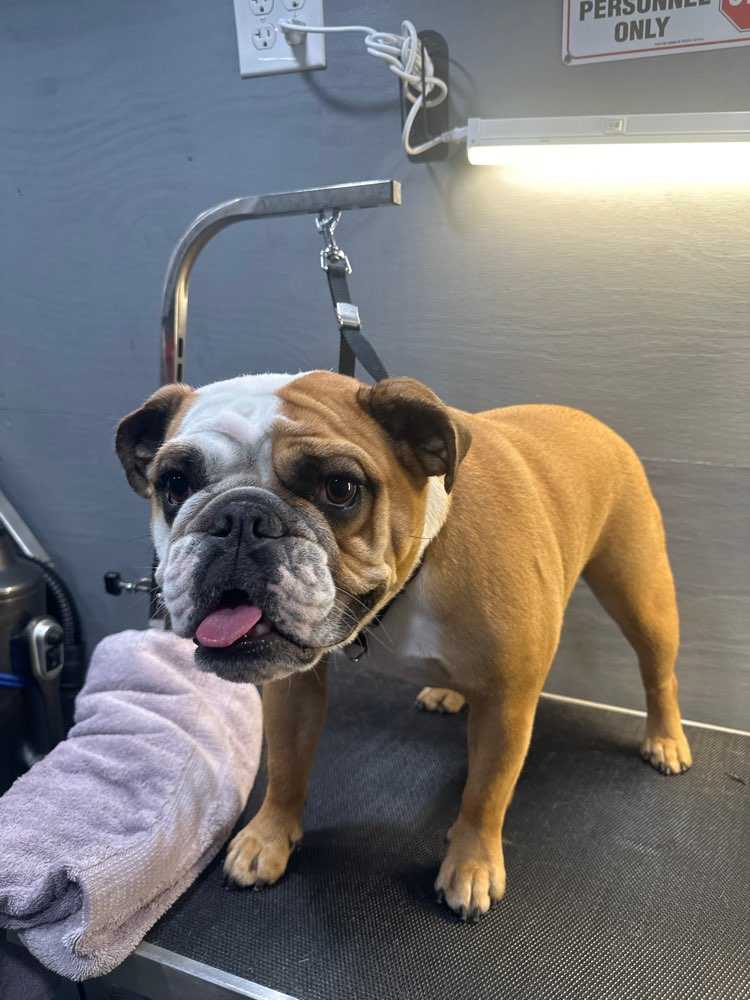 Chloe