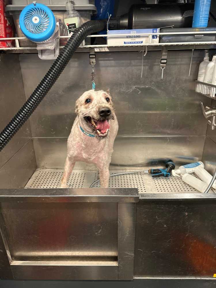 Max