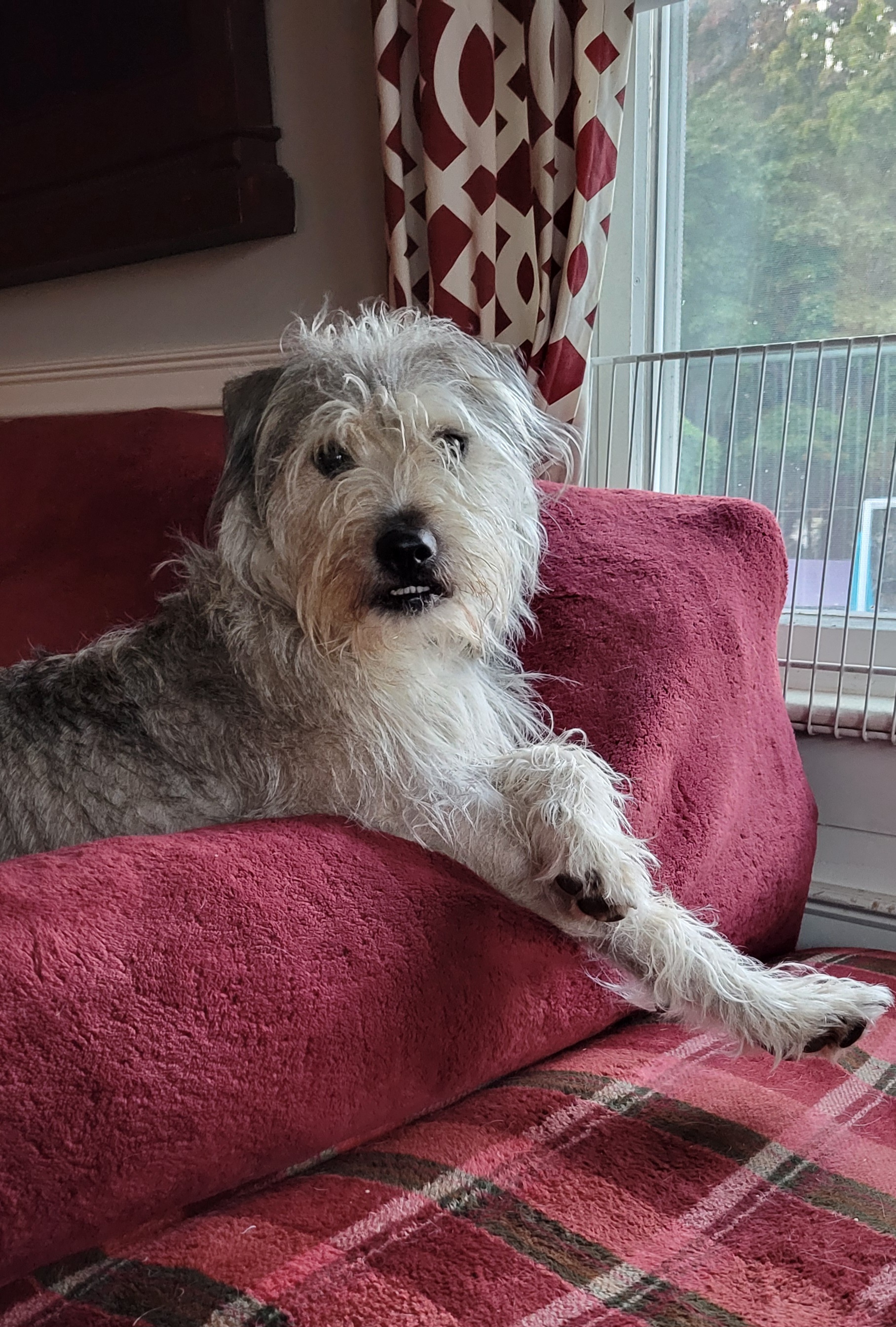 Archie
