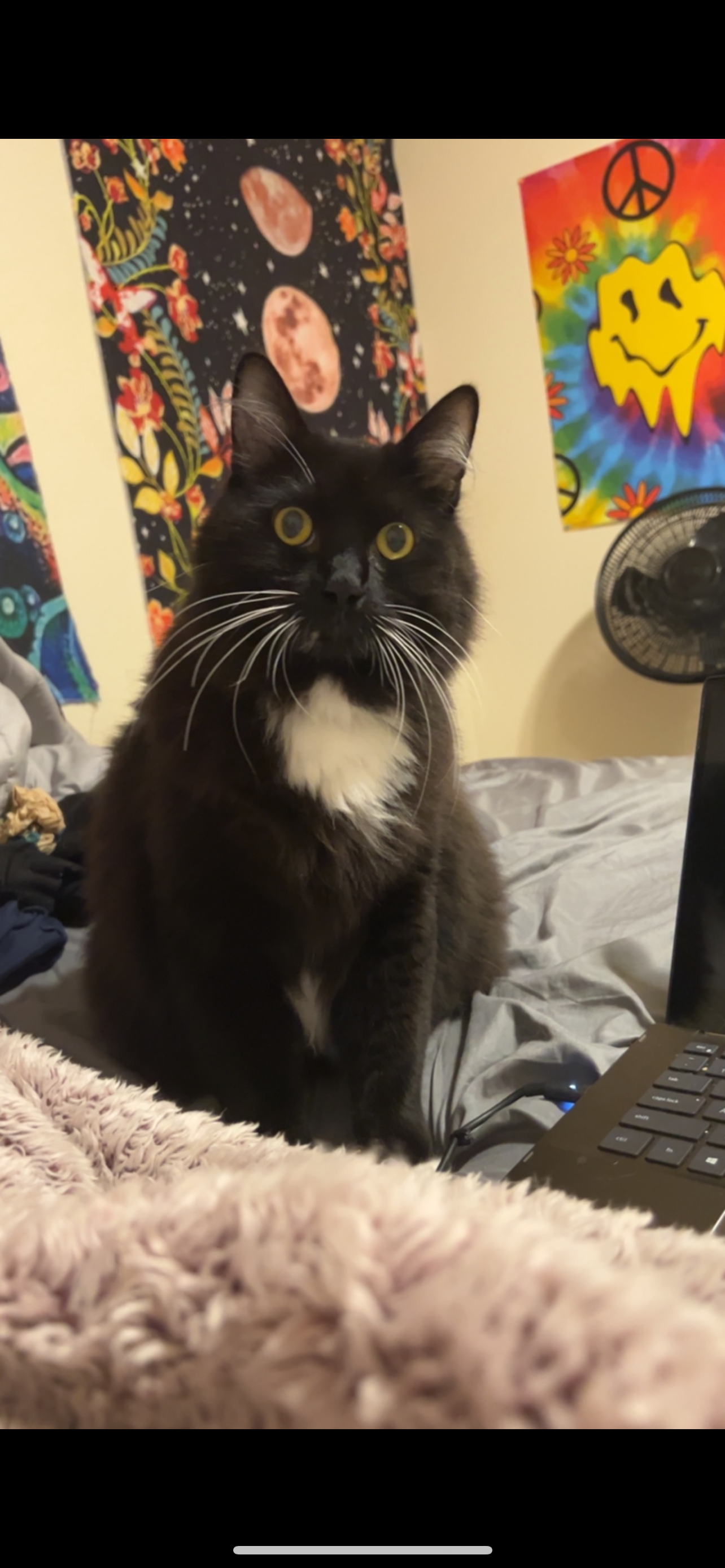 Theodore