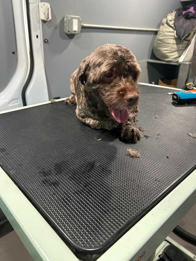 Murphy