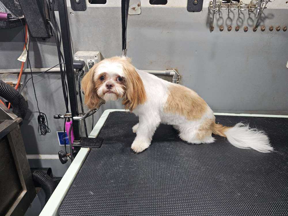Charlie