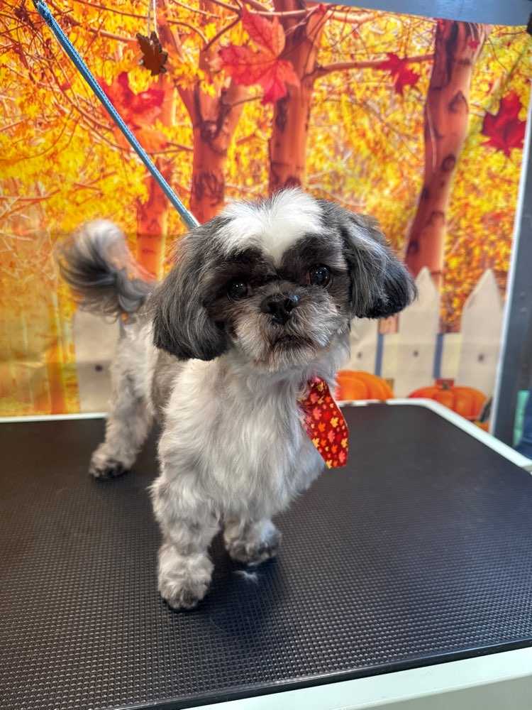 Tyson