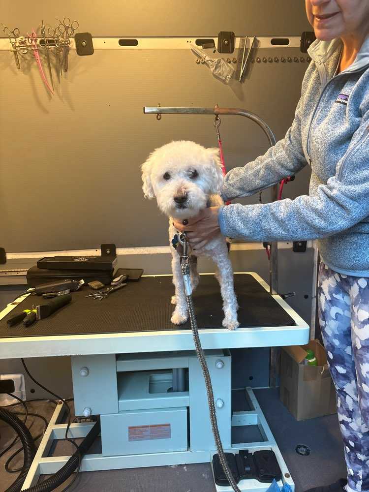 Marley