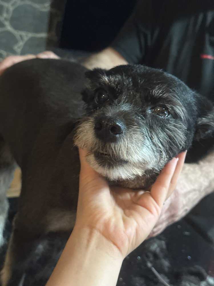 Onyx