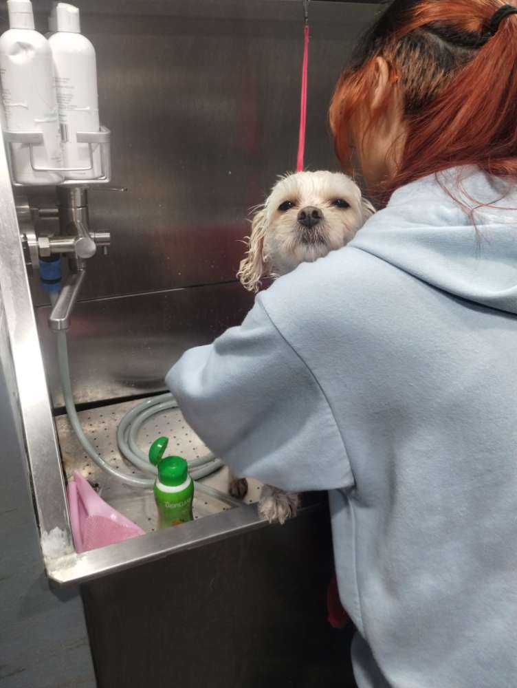 Fiona