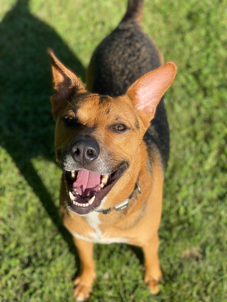 Winston