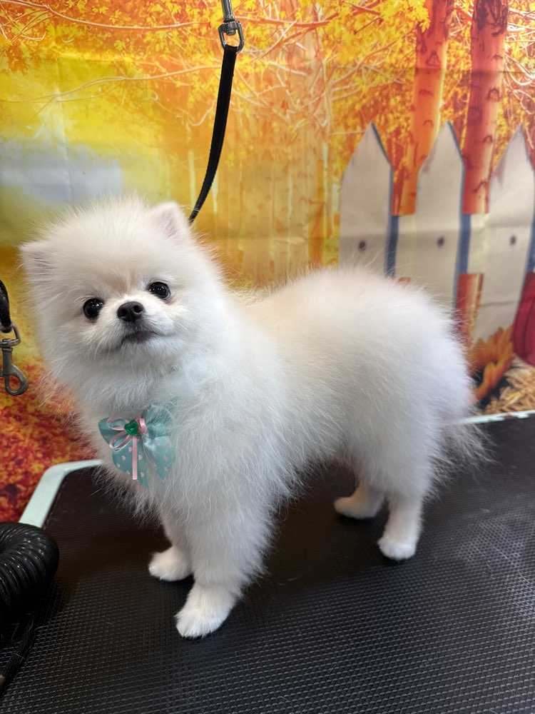 Chloe