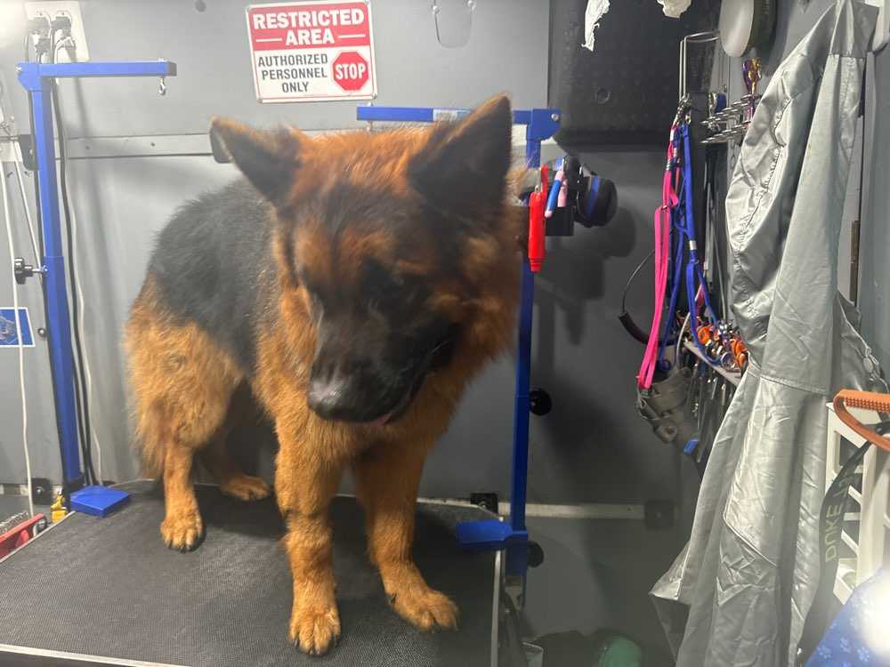 Duke