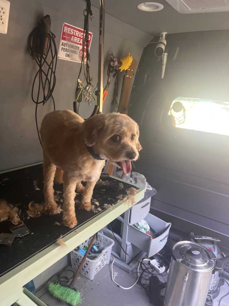 Bailey