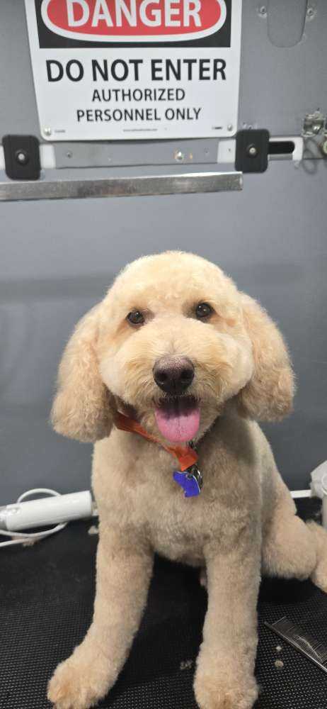 Wally