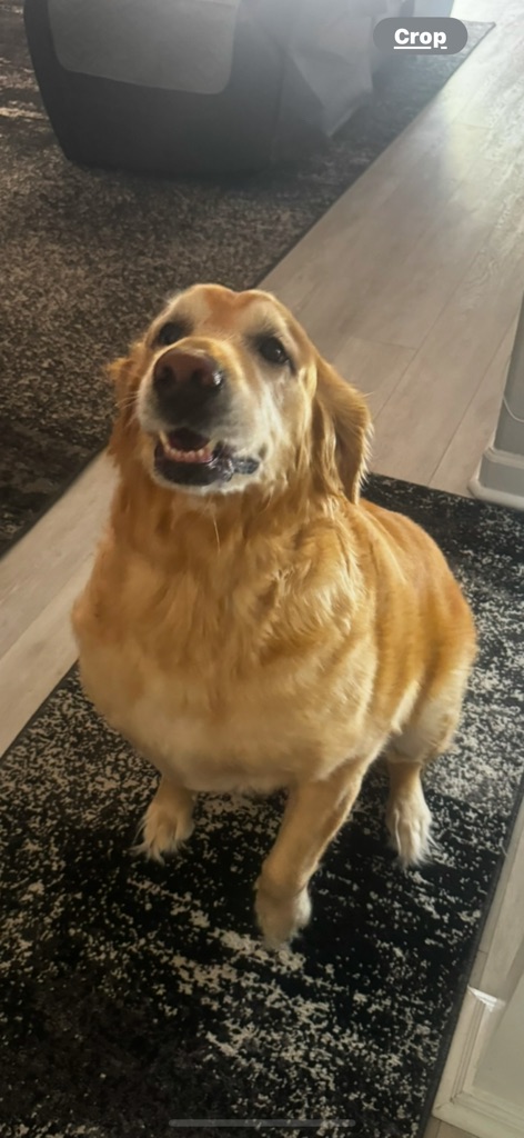 Zoey