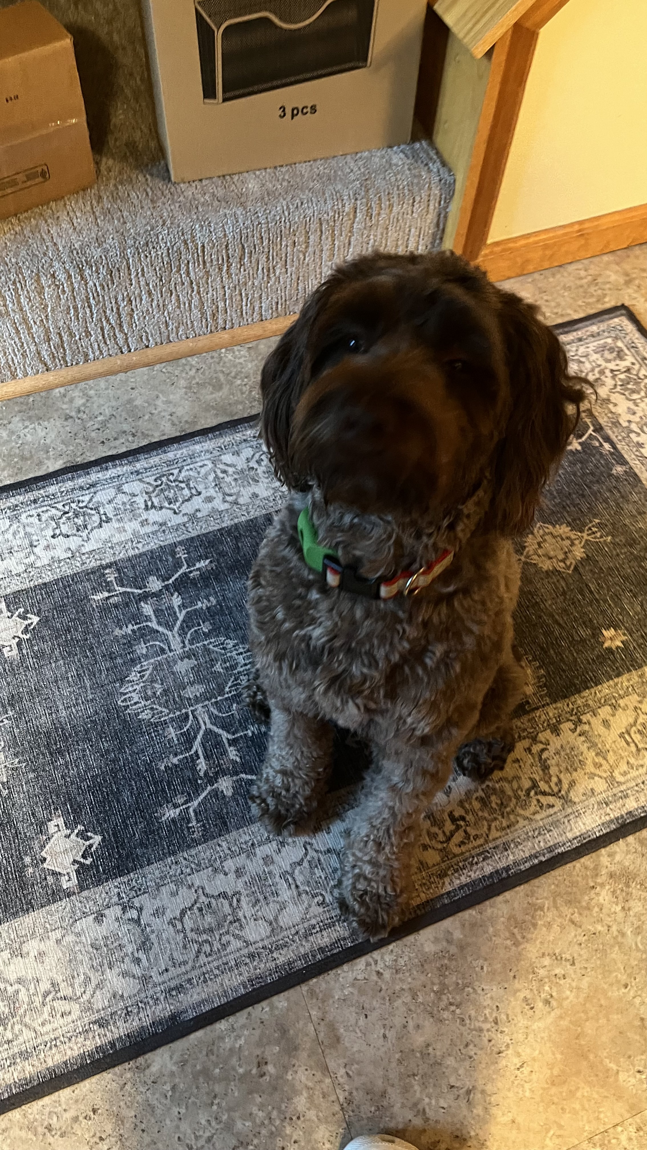 Oscar 
