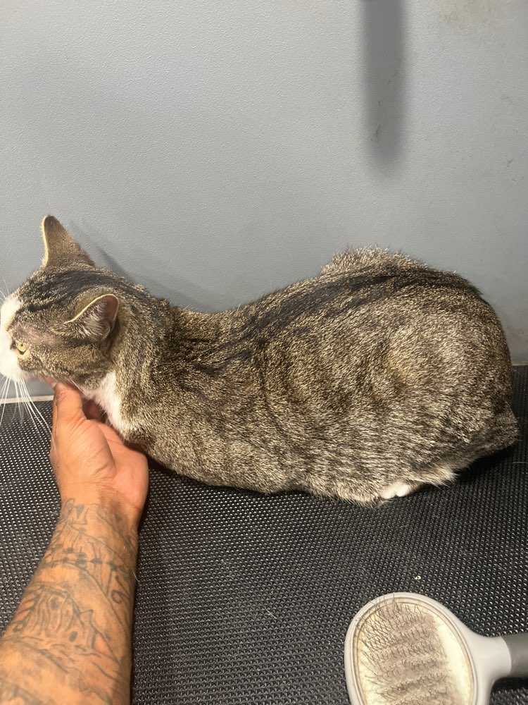 Max