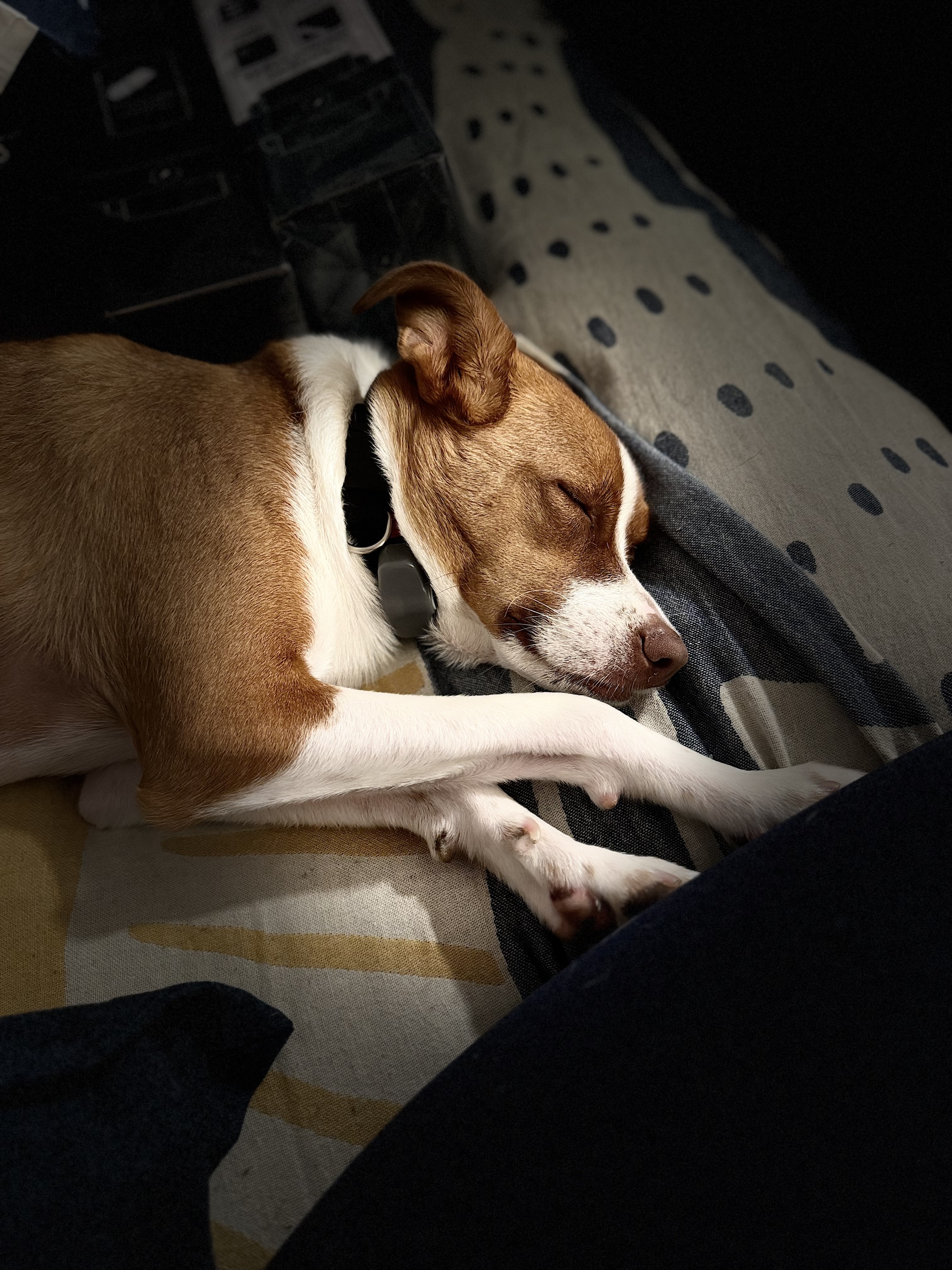 Murphy