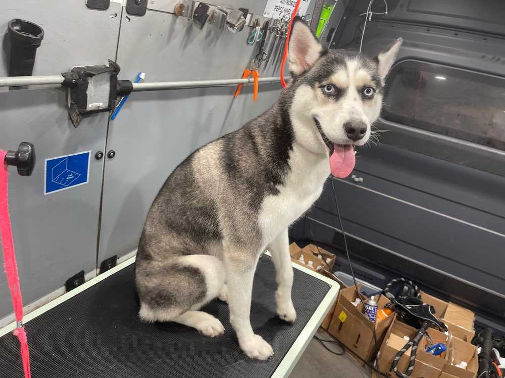 Nova