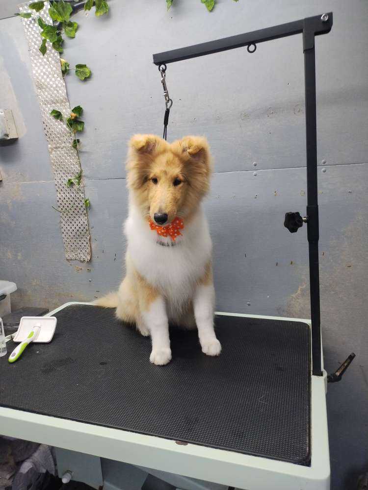 Winnie