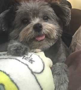 Annie