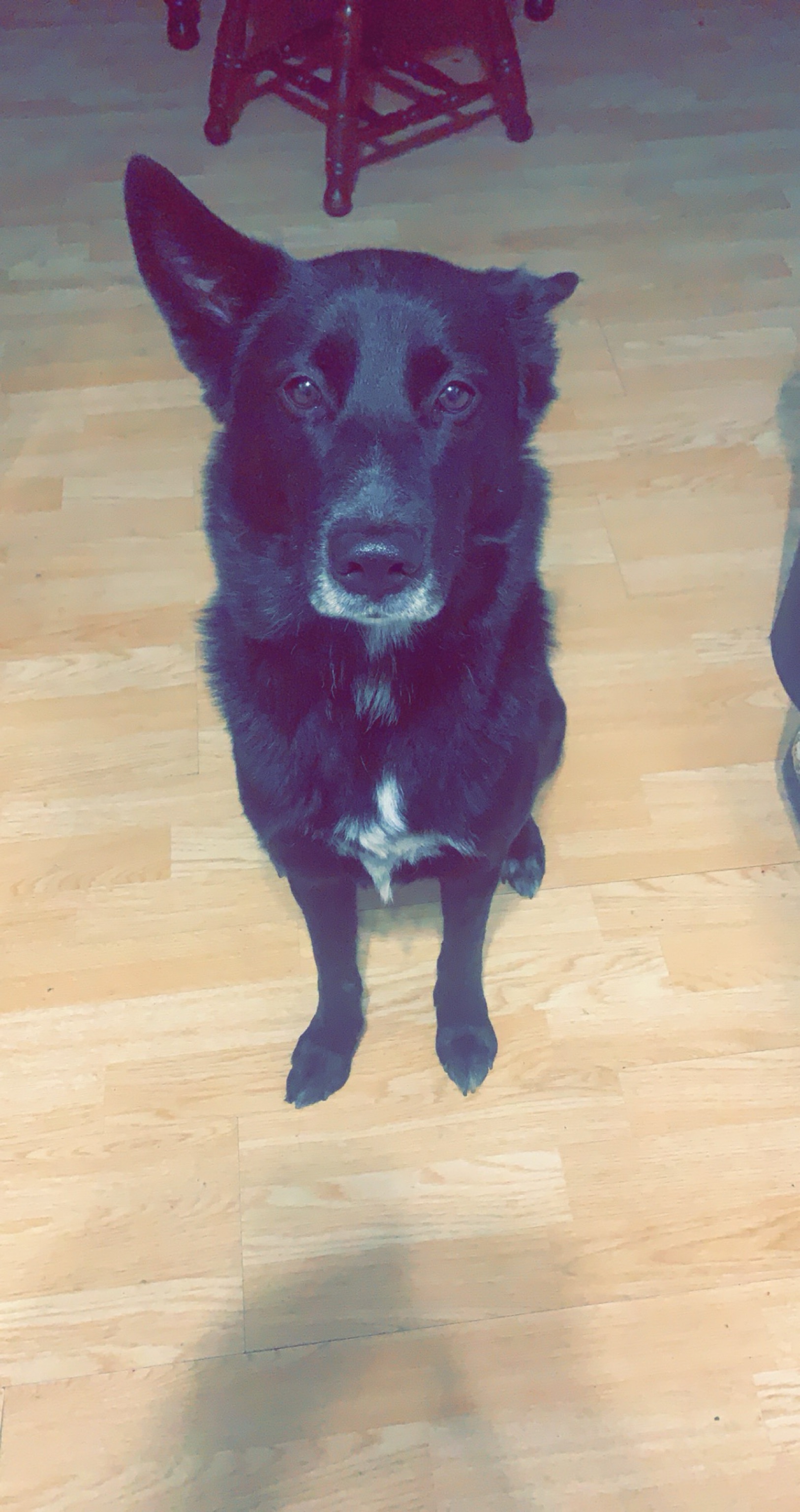 Peanut