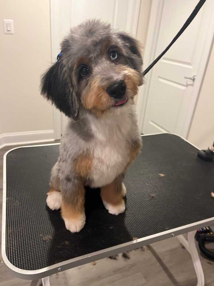 Zoe 