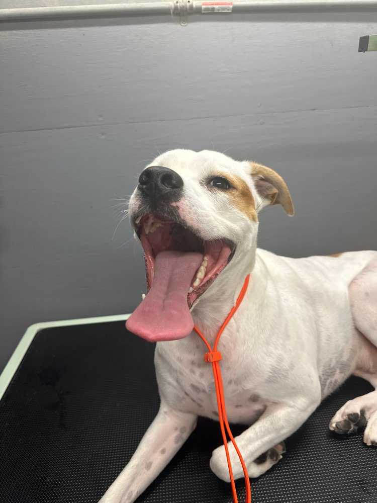 Benny