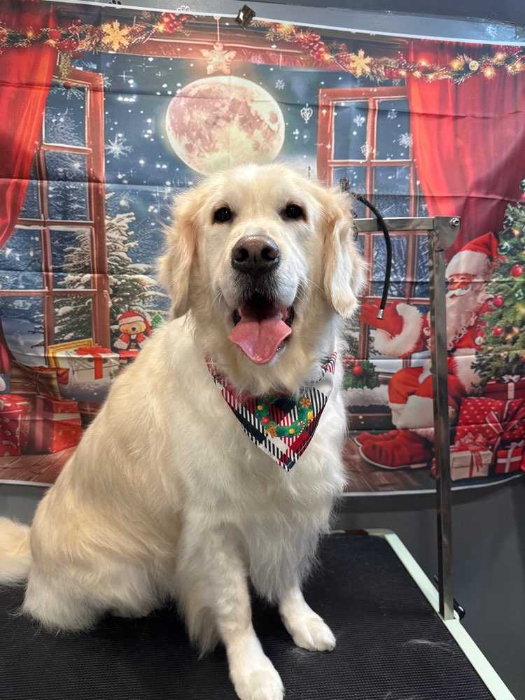 Duke