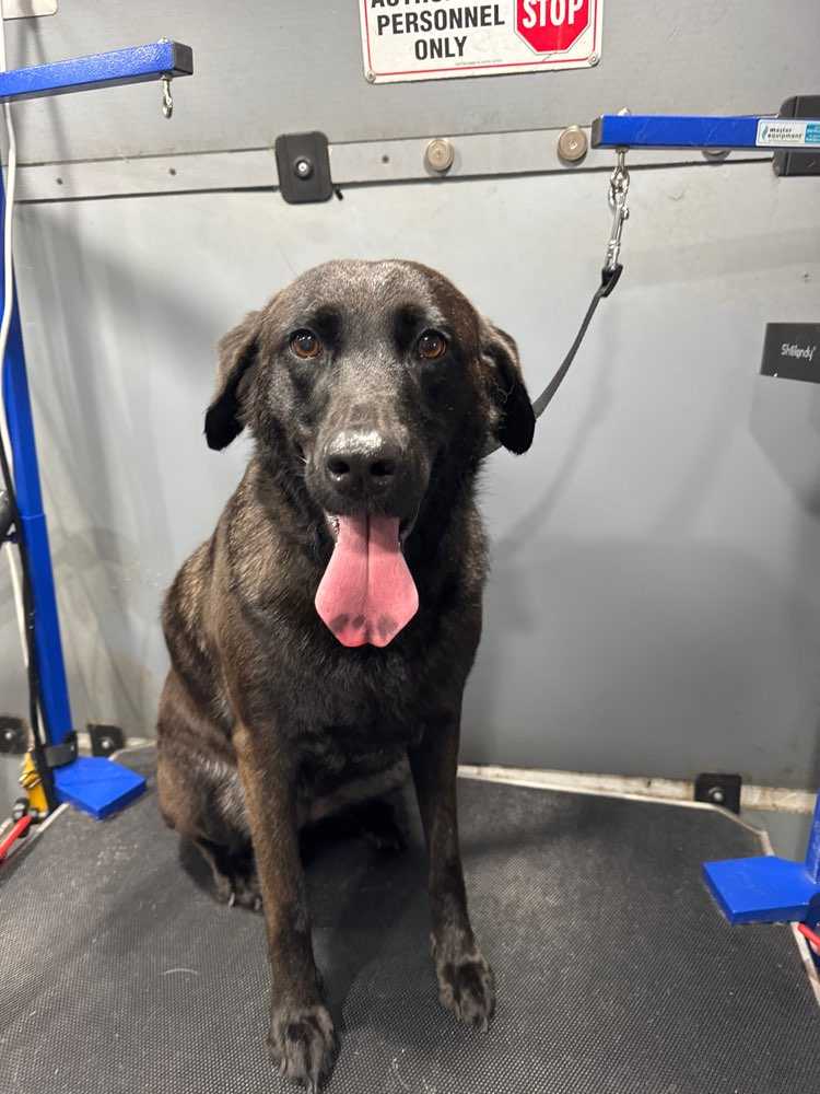 Remi