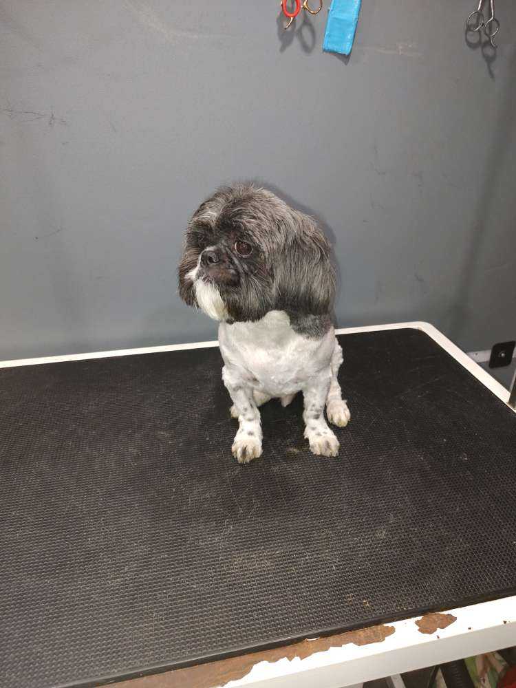 Bailey