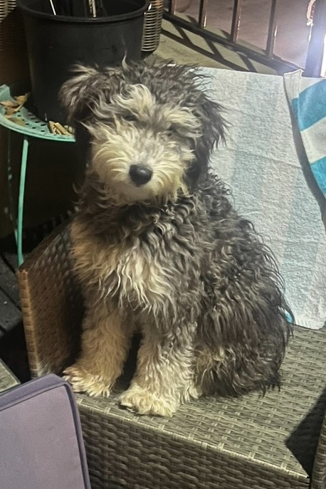 Oliver
