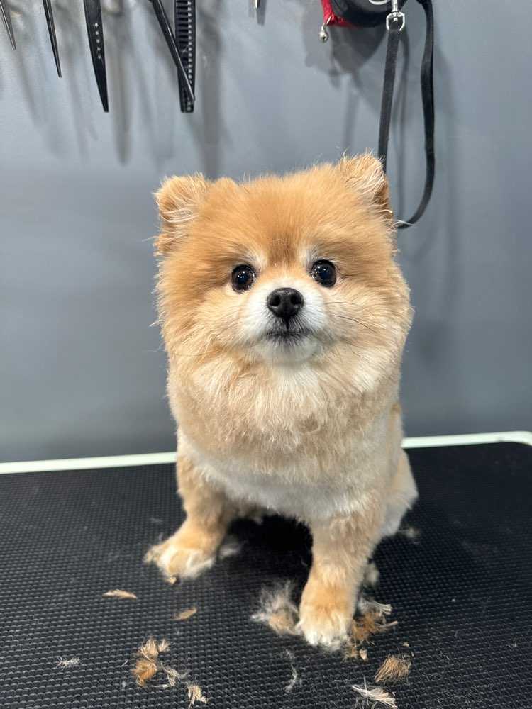 Coco Bella