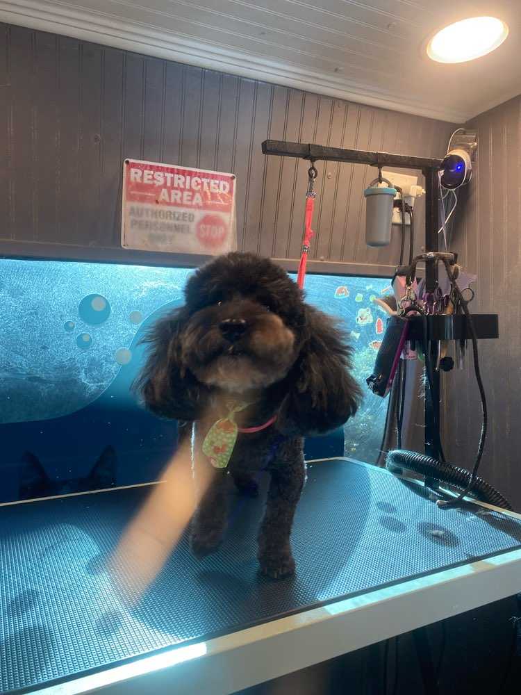 Fergus