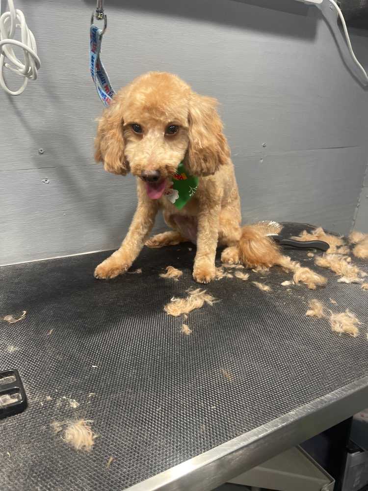 Benny